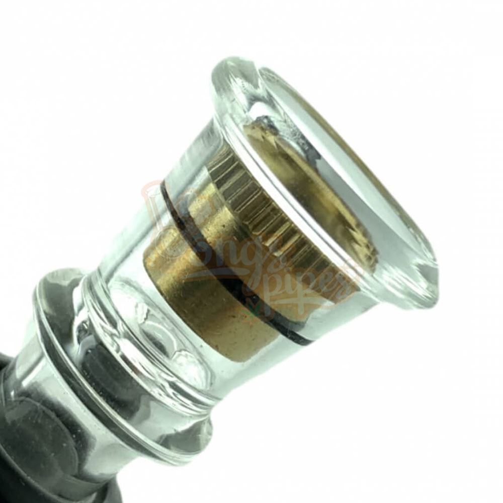 RODDI See Through Glass Dome Percolator Beaker Glass Bong 20cm See Through Glass Dome Perk Bong 20cm