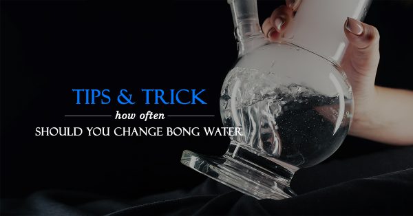 How Often Should You Change Bong Water?
